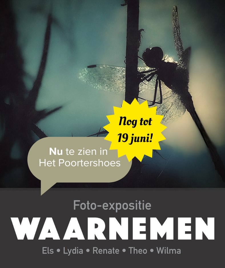 Waarnemen